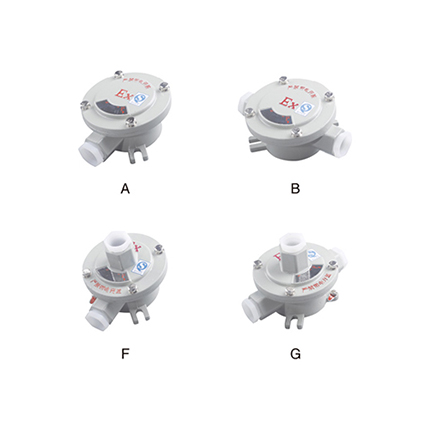 AH系列防爆接线盒( IIc、tD)
